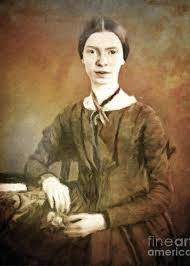 A Fatal “Expertise”